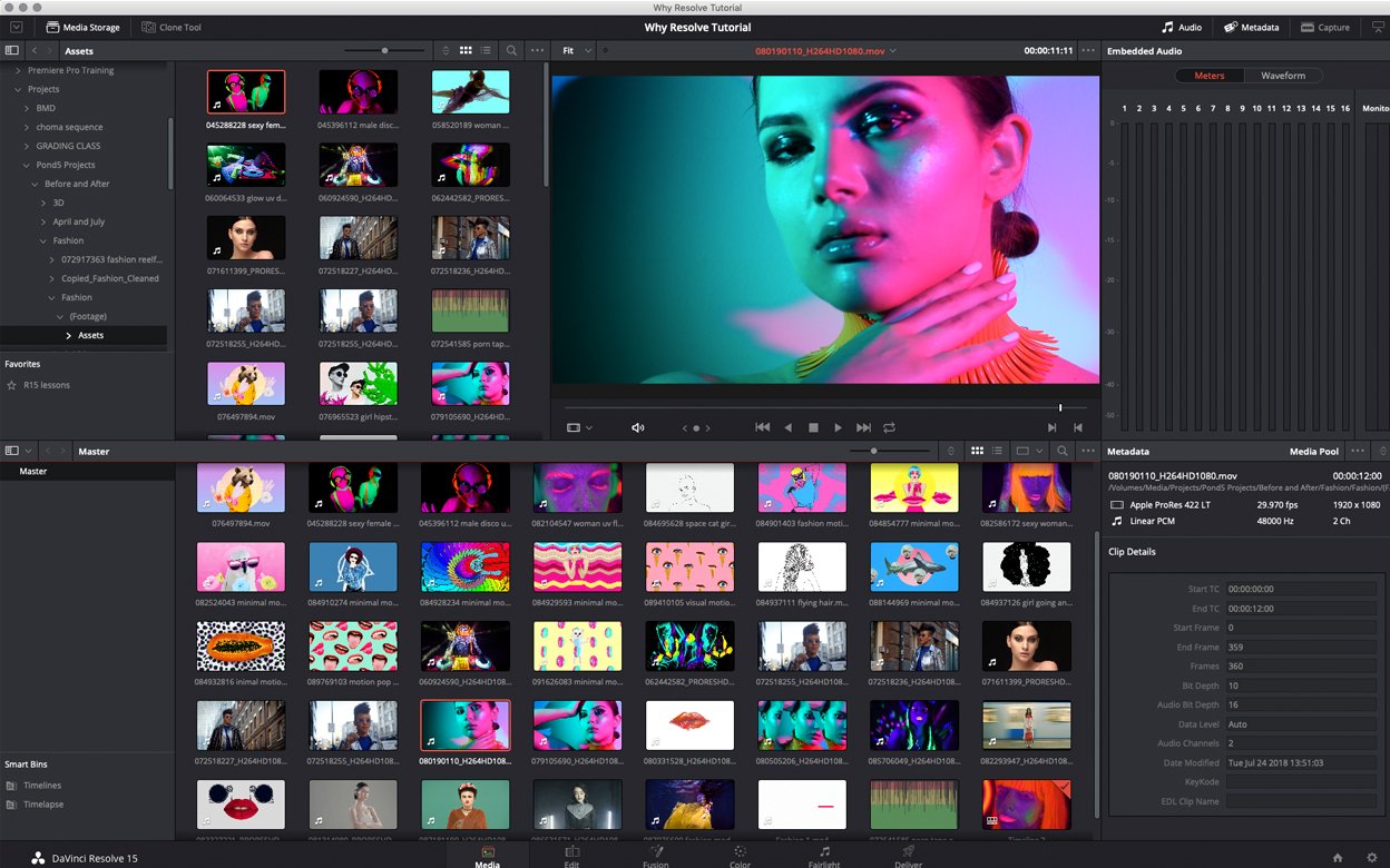 The Ultimate Guide to Top Video Editing Software in 2024: Elevate Your Creativity and Workflow